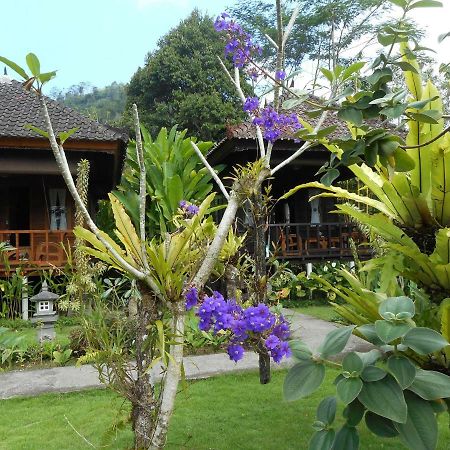 Kubu Alas Tunggal Villa Sidemen  Dış mekan fotoğraf