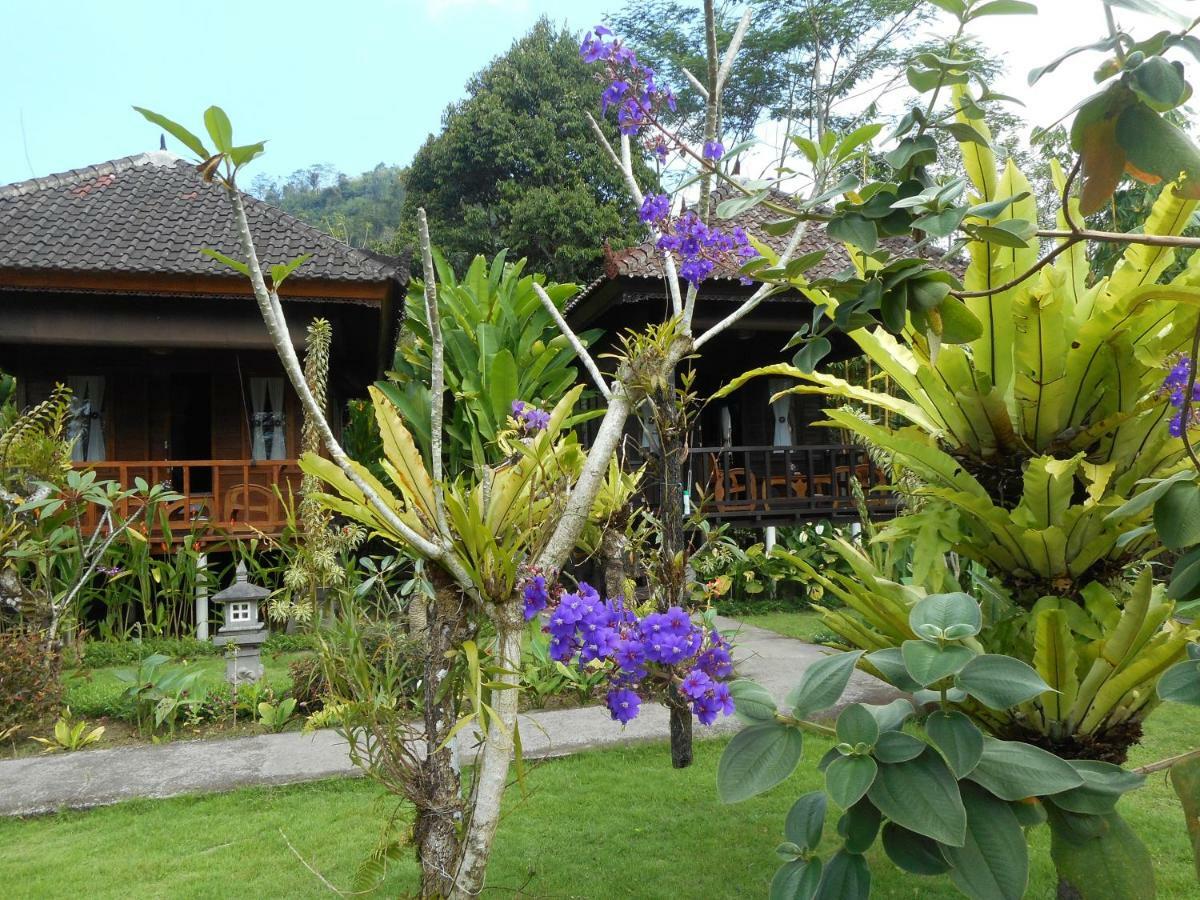 Kubu Alas Tunggal Villa Sidemen  Dış mekan fotoğraf